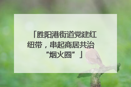 胜阳港街道党建红纽带，串起商居共治 “烟火圈”