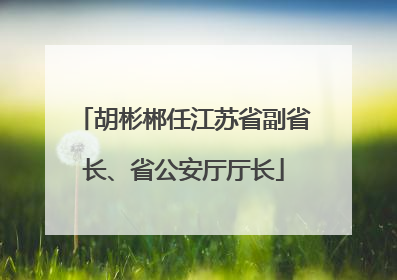 胡彬郴任江苏省副省长、省公安厅厅长