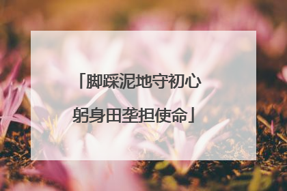 脚踩泥地守初心 躬身田垄担使命