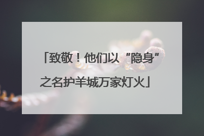 致敬！他们以“隐身”之名护羊城万家灯火