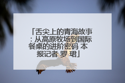 舌尖上的青海故事：从高原牧场到国际餐桌的进阶密码 本报记者 罗 珺