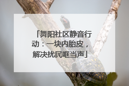 舞阳社区静音行动：一块内胎皮，解决扰民哐当声