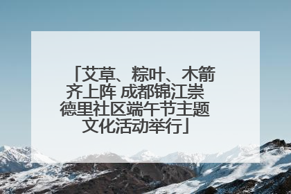 艾草、粽叶、木箭齐上阵 成都锦江崇德里社区端午节主题文化活动举行