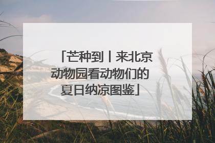芒种到丨来北京动物园看动物们的夏日纳凉图鉴