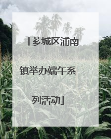 芗城区浦南镇举办端午系列活动