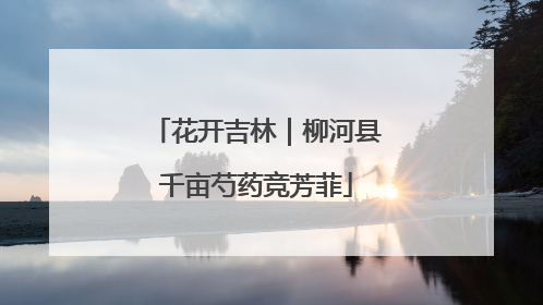 花开吉林｜柳河县千亩芍药竞芳菲