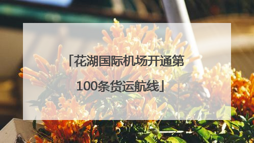 花湖国际机场开通第100条货运航线