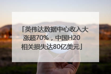 英伟达数据中心收入大涨超70%，中国H20相关损失达80亿美元