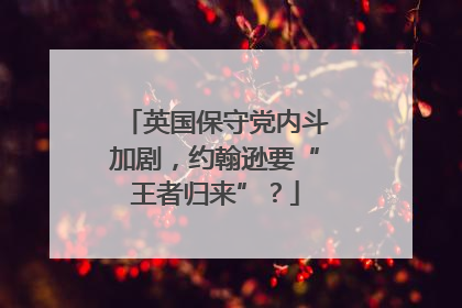 英国保守党内斗加剧，约翰逊要“王者归来”？