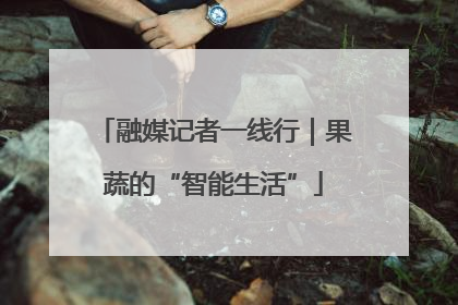 融媒记者一线行｜果蔬的“智能生活”