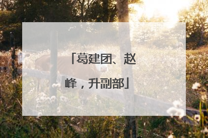 葛建团、赵峰，升副部