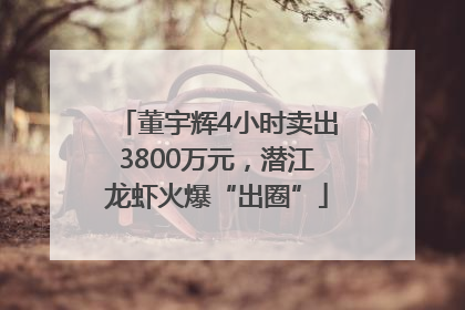 董宇辉4小时卖出3800万元，潜江龙虾火爆“出圈”