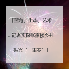 蓝莓、生态、艺术……记者实探张家楼乡村振兴“三重奏”