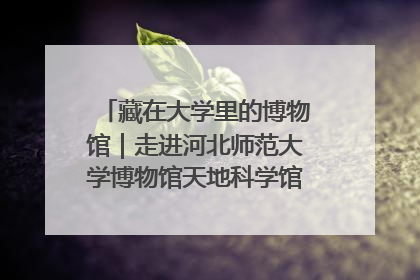 藏在大学里的博物馆｜走进河北师范大学博物馆天地科学馆：在校园里赴一场“宇宙之约”