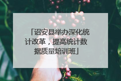 诏安县举办深化统计改革，提高统计数据质量培训班