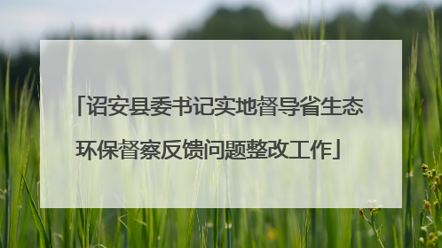 诏安县委书记实地督导省生态环保督察反馈问题整改工作