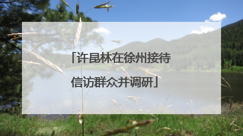许昆林在徐州接待信访群众并调研