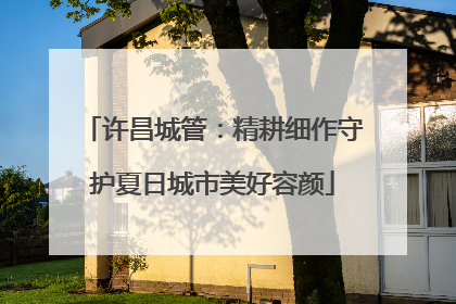 许昌城管：精耕细作守护夏日城市美好容颜
