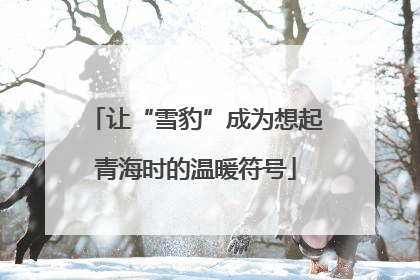 让“雪豹”成为想起青海时的温暖符号