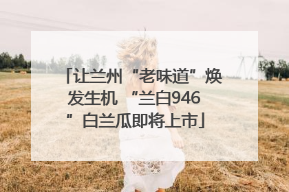 让兰州“老味道”焕发生机 “兰白946”白兰瓜即将上市
