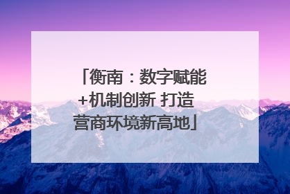 衡南：数字赋能+机制创新 打造营商环境新高地