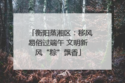 衡阳蒸湘区：移风易俗过端午 文明新风“粽”飘香
