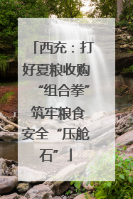 西充：打好夏粮收购“组合拳” 筑牢粮食安全“压舱石”
