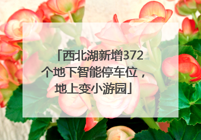 西北湖新增372个地下智能停车位，地上变小游园