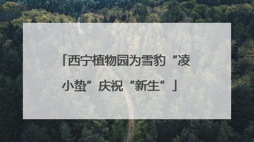 西宁植物园为雪豹“凌小蛰”庆祝“新生”