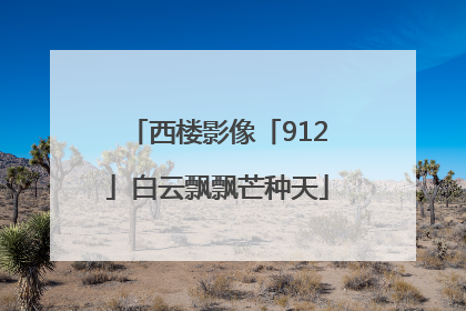 西楼影像「912」白云飘飘芒种天