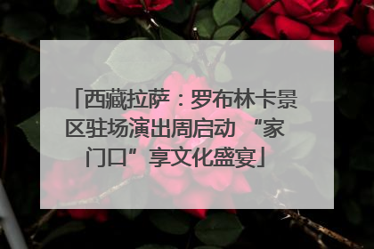 西藏拉萨：罗布林卡景区驻场演出周启动 “家门口”享文化盛宴