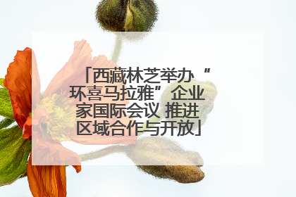 西藏林芝举办“环喜马拉雅”企业家国际会议 推进区域合作与开放