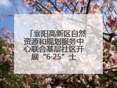 襄阳高新区自然资源和规划服务中心联合基层社区开展“6·25”土地日宣传活动