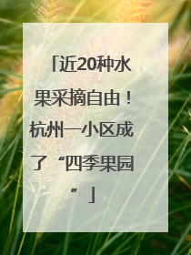 近20种水果采摘自由！杭州一小区成了“四季果园”