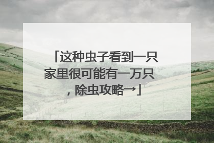 这种虫子看到一只家里很可能有一万只，除虫攻略→