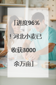 进度96%！河北小麦已收获3000余万亩