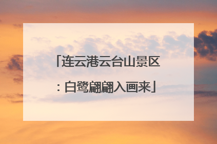 连云港云台山景区：白鹭翩翩入画来