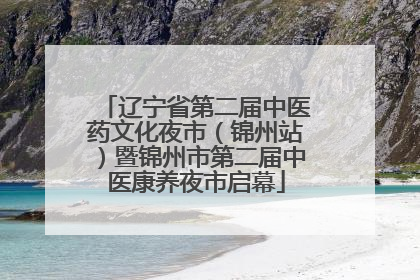 辽宁省第二届中医药文化夜市（锦州站）暨锦州市第二届中医康养夜市启幕