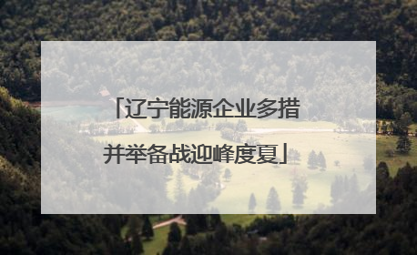 辽宁能源企业多措并举备战迎峰度夏