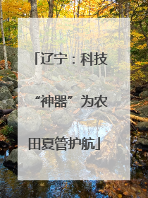 辽宁：科技“神器”为农田夏管护航