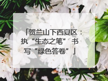 贺兰山下西夏区：执“生态之笔” 书写“绿色答卷”