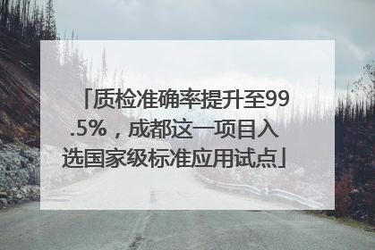 质检准确率提升至99.5%，成都这一项目入选国家级标准应用试点