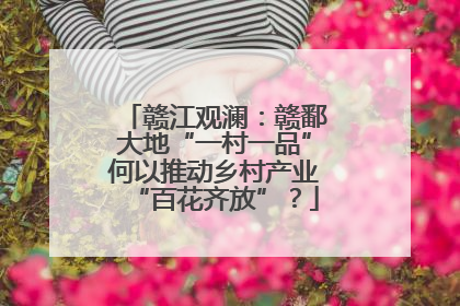 赣江观澜：赣鄱大地“一村一品”何以推动乡村产业“百花齐放”？