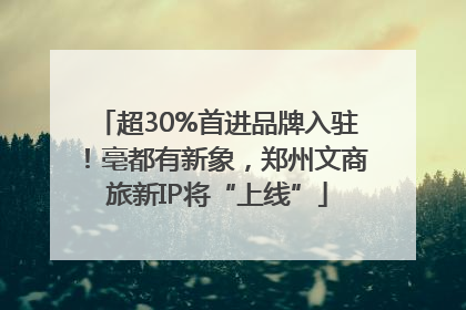 超30%首进品牌入驻！亳都有新象，郑州文商旅新IP将“上线”