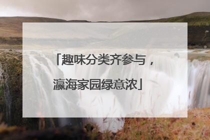 趣味分类齐参与，瀛海家园绿意浓