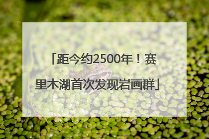 距今约2500年！赛里木湖首次发现岩画群