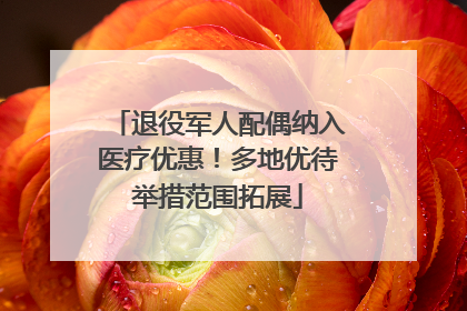 退役军人配偶纳入医疗优惠！多地优待举措范围拓展