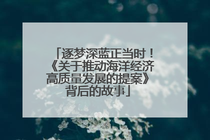逐梦深蓝正当时！《关于推动海洋经济高质量发展的提案》背后的故事