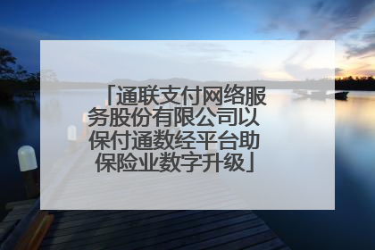 通联支付网络服务股份有限公司以保付通数经平台助保险业数字升级
