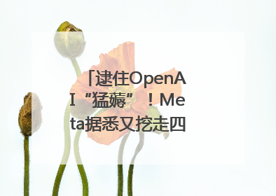 逮住OpenAI“猛薅”！Meta据悉又挖走四位知名研究人员